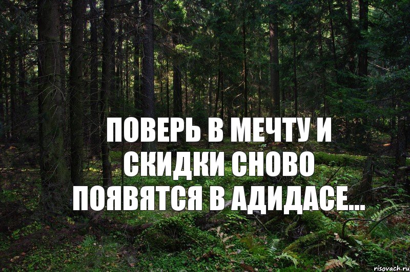 Поверь в мечту и скидки сново появятся в Адидасе..., Комикс СС