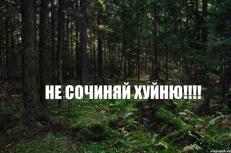 не сочиняй ХУЙНЮ!!!, Комикс СС