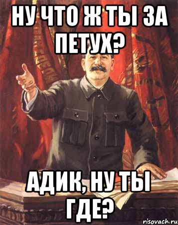 ну что ж ты за петух? адик, ну ты где?