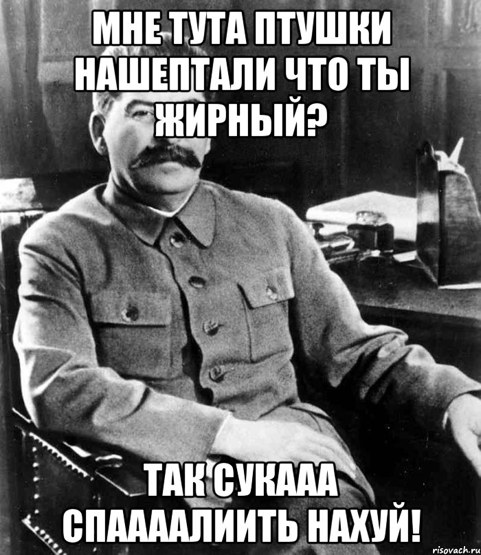 мне тута птушки нашептали что ты жирный? так сукааа спаааалиить нахуй!, Мем  иосиф сталин