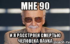 мне 90 и я расстроен смертью человека паука, Мем стэн