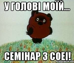 у голові моїй... семінар з соеі!