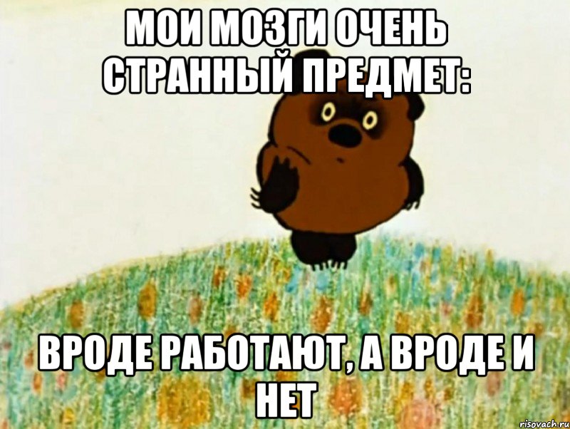 мои мозги очень странный предмет: вроде работают, а вроде и нет, Мем ВИННИ ПУХ