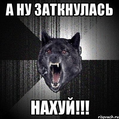 а ну заткнулась нахуй!!!, Мем Сумасшедший волк