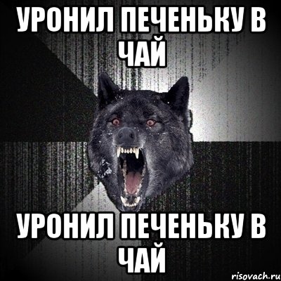 уронил печеньку в чай уронил печеньку в чай, Мем Сумасшедший волк