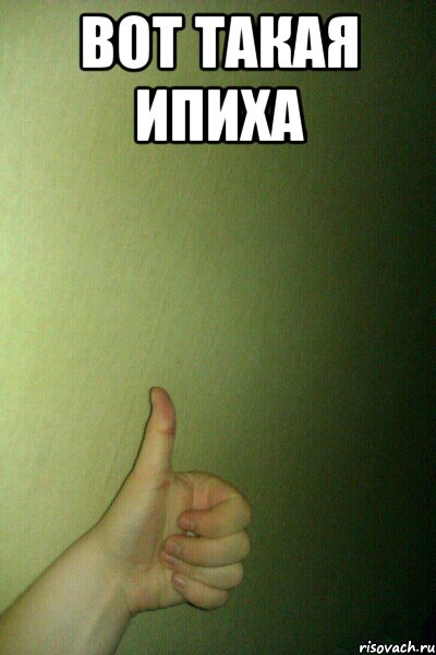 вот такая ипиха , Мем thumb