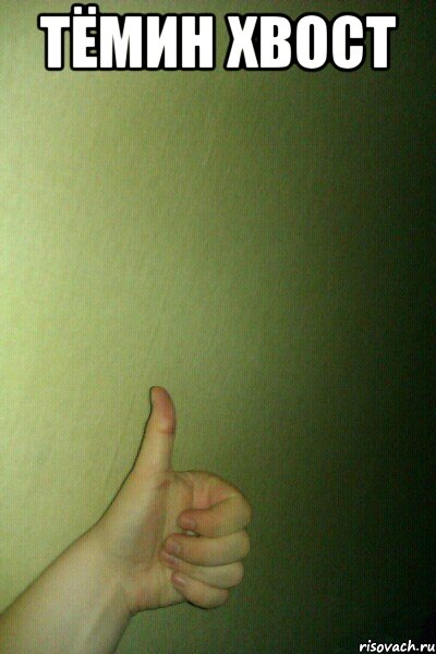 тёмин хвост , Мем thumb