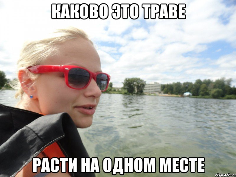 каково это траве расти на одном месте, Мем типичная суворкина