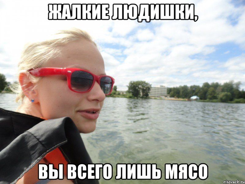 жалкие людишки, вы всего лишь мясо, Мем типичная суворкина