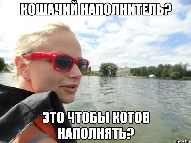 кошачий наполнитель? это чтобы котов наполнять?, Мем типичная суворкина