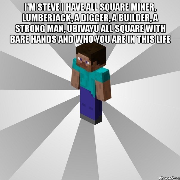 i'm steve i have all square miner, lumberjack, a digger, a builder, a strong man, ubivayu all square with bare hands and who you are in this life , Мем Типичный игрок Minecraft