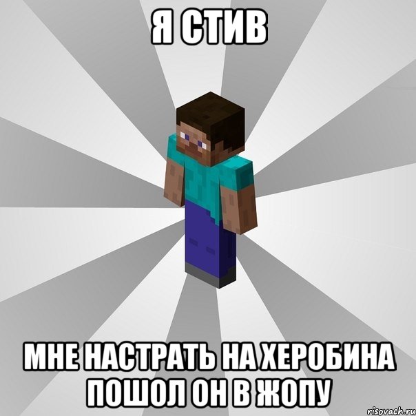 я стив мне настрать на херобина пошол он в жопу, Мем Типичный игрок Minecraft