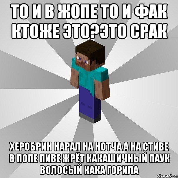 то и в жопе то и фак ктоже это?это срак херобрин нарал на нотча а на стиве в попе пиве жрёт какашичный паук волосый кака горила, Мем Типичный игрок Minecraft