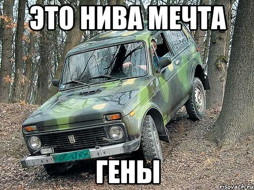 это нива мечта гены