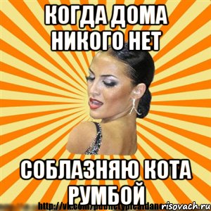 когда дома никого нет соблазняю кота румбой, Мем Типичный бальник2