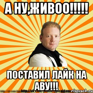 а ну,живоо!!! поставил лайк на аву!!!