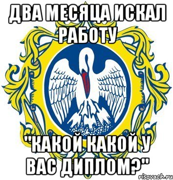 два месяца искал работу "какой какой у вас диплом?"