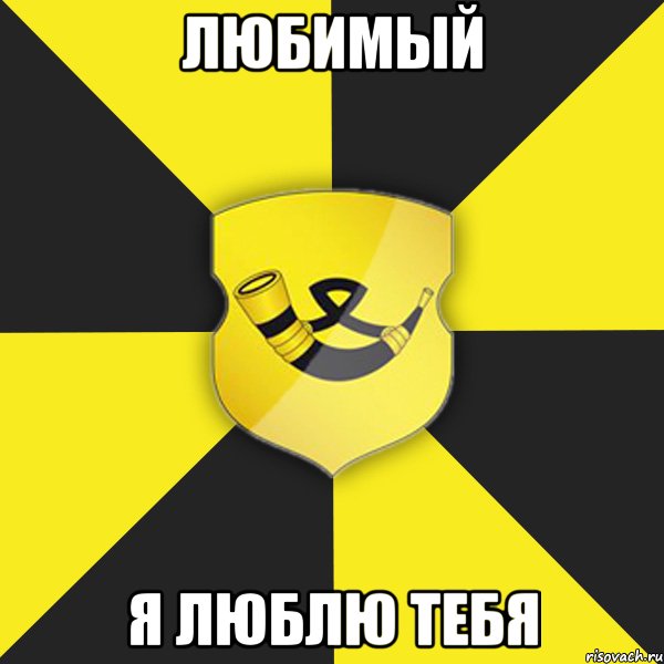 любимый я люблю тебя, Мем Типичный Копыль