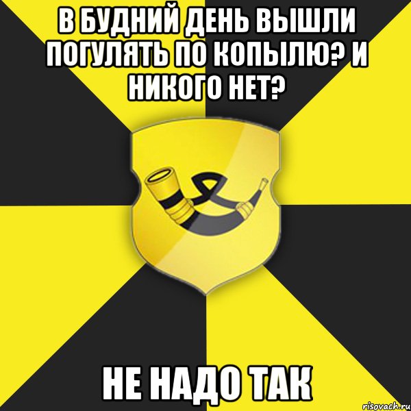 в будний день вышли погулять по копылю? и никого нет? не надо так, Мем Типичный Копыль