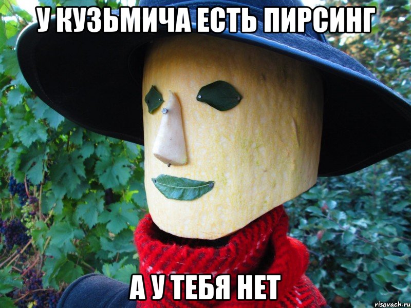 у кузьмича есть пирсинг а у тебя нет, Мем Типичный Кузьмич