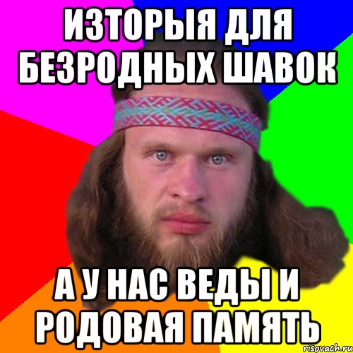 изторыя для безродных шавок а у нас веды и родовая память, Мем Типичный долбослав