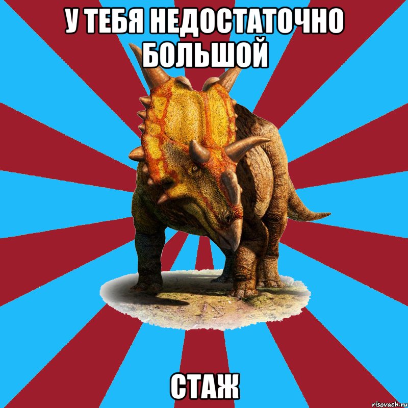 у тебя недостаточно большой стаж, Мем Типичный ролевик-динозавр