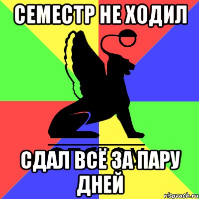 семестр не ходил сдал всё за пару дней