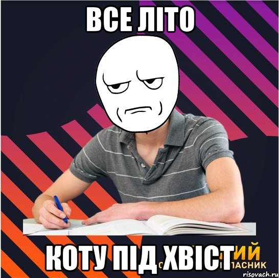 все літо коту під хвіст, Мем Типовий одинадцятикласник