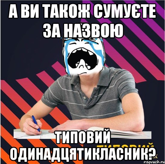 а ви також сумуєте за назвою типовий одинадцятикласник?, Мем Типовий одинадцятикласник