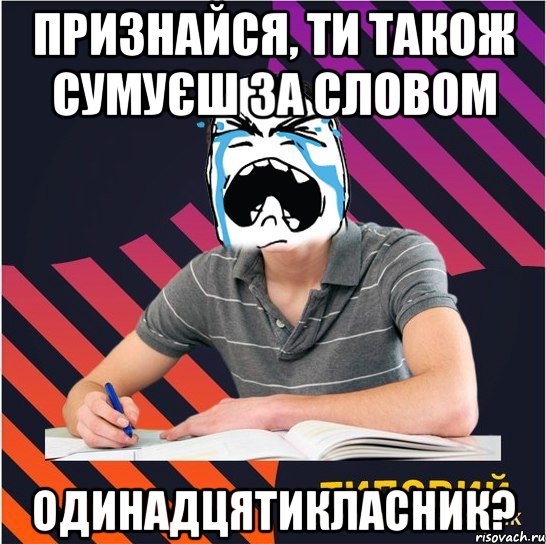 признайся, ти також сумуєш за словом одинадцятикласник?, Мем Типовий одинадцятикласник