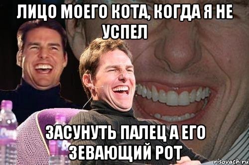 лицо моего кота, когда я не успел засунуть палец а его зевающий рот, Мем том круз