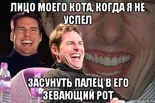 лицо моего кота, когда я не успел засунуть палец в его зевающий рот, Мем том круз