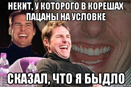 некит, у которого в корешах пацаны на условке сказал, что я быдло, Мем том круз