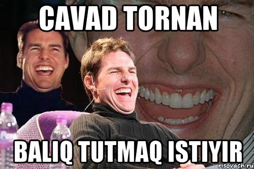 cavad tornan baliq tutmaq istiyir, Мем том круз