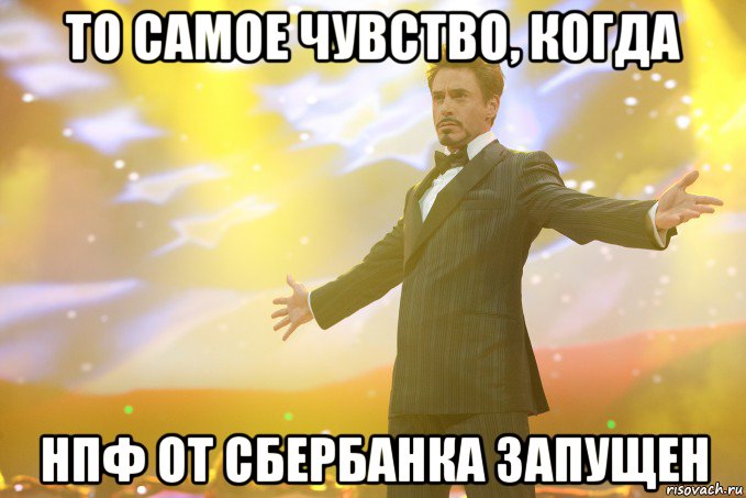 то самое чувство, когда нпф от сбербанка запущен, Мем Тони Старк (Роберт Дауни младший)