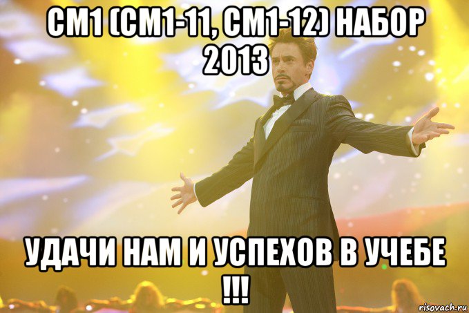 см1 (см1-11, см1-12) набор 2013 удачи нам и успехов в учебе !!!, Мем Тони Старк (Роберт Дауни младший)