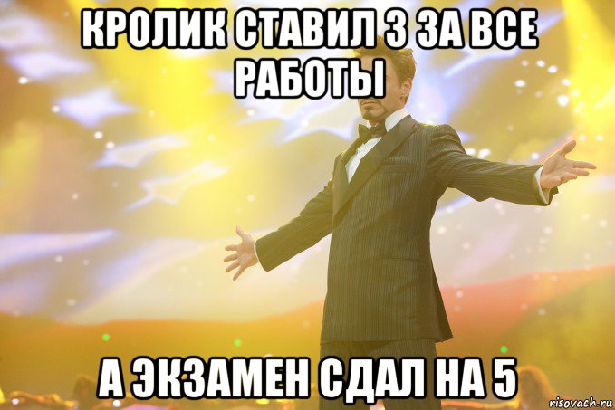 кролик ставил 3 за все работы а экзамен сдал на 5, Мем Тони Старк (Роберт Дауни младший)