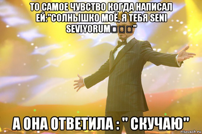 то самое чувство когда написал ей:"солнышко моё, я тебя seni seviyorum❤❤❤" а она ответила : " скучаю", Мем Тони Старк (Роберт Дауни младший)