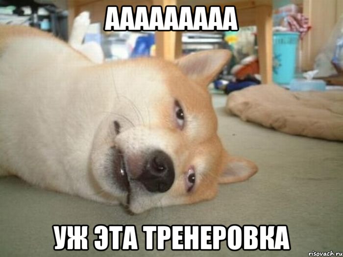 ааааааааа уж эта тренеровка, Мем треня