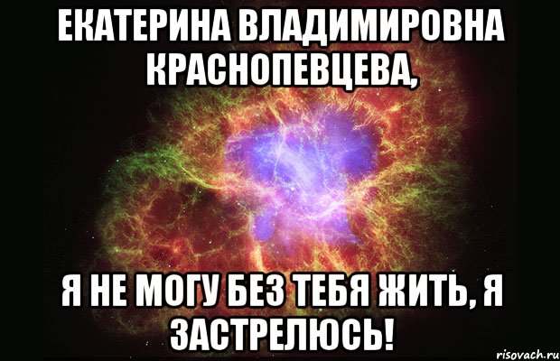 екатерина владимировна краснопевцева, я не могу без тебя жить, я застрелюсь!, Мем Туманность