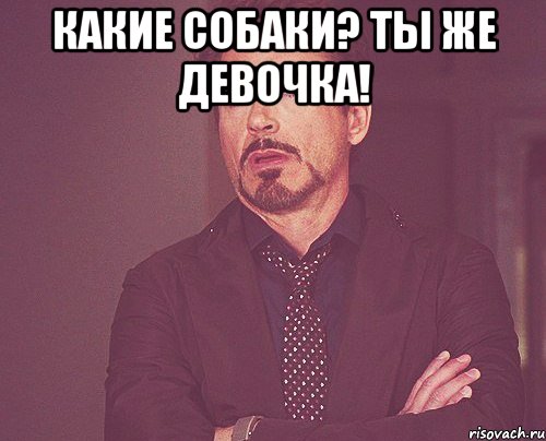 какие собаки? ты же девочка! , Мем твое выражение лица