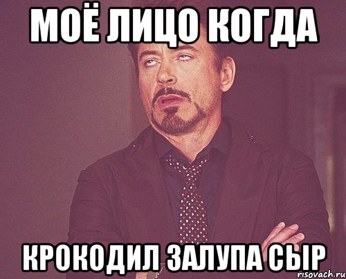 моё лицо когда крокодил залупа сыр, Мем твое выражение лица