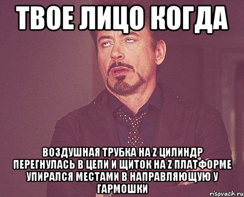 твое лицо когда воздушная трубка на z цилиндр перегнулась в цепи и щиток на z платформе упирался местами в направляющую у гармошки, Мем твое выражение лица