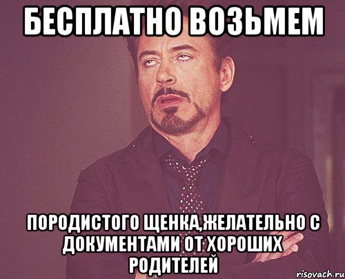 бесплатно возьмем породистого щенка,желательно с документами от хороших родителей, Мем твое выражение лица