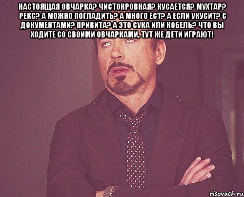 настоящая овчарка? чистокровная? кусается? мухтар? рекс? а можно погладить? а много ест? а если укусит? с документами? привита? а это сука или кобель? что вы ходите со своими овчарками, тут же дети играют! , Мем твое выражение лица