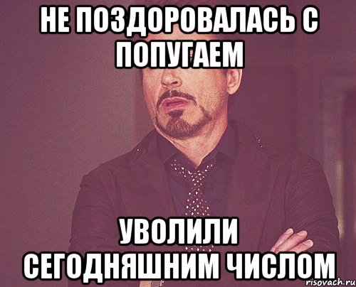 не поздоровалась с попугаем уволили сегодняшним числом, Мем твое выражение лица