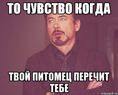 то чувство когда твой питомец перечит тебе, Мем твое выражение лица