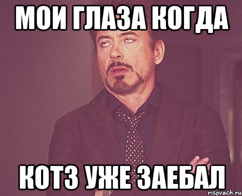 мои глаза когда кот3 уже заебал, Мем твое выражение лица