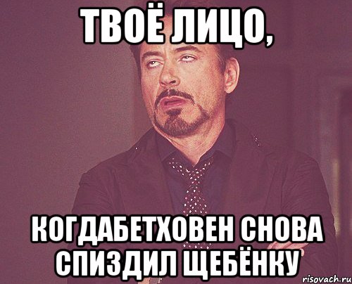 твоё лицо, когдабетховен снова спиздил щебёнку, Мем твое выражение лица