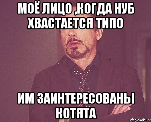 моё лицо ,когда нуб хвастается типо им заинтересованы котята, Мем твое выражение лица